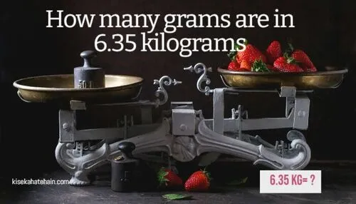 How many grams are in 6.35 kilograms